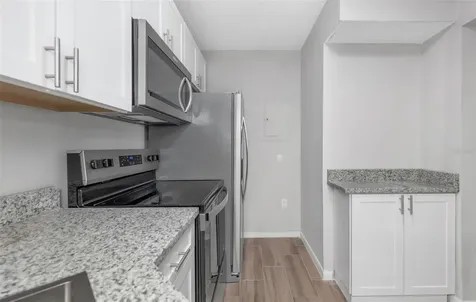 3166 Lake Pine Way S Tarpon Springs FL 34688
