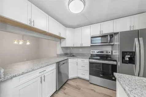 3166 Lake Pine Way S Tarpon Springs FL 34688