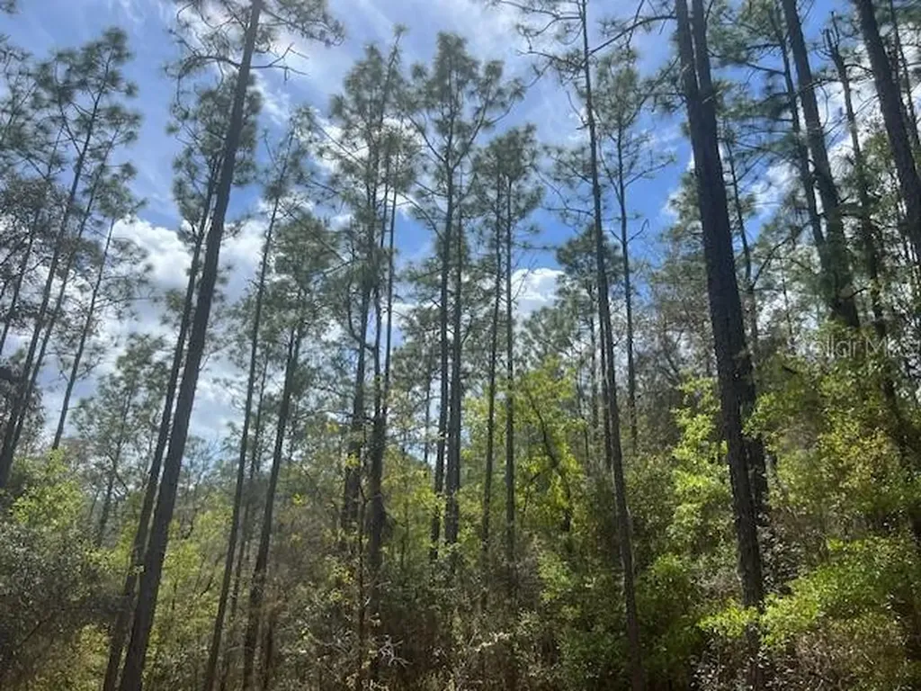 181 Whirlwind Loop Hawthorne FL 32640
