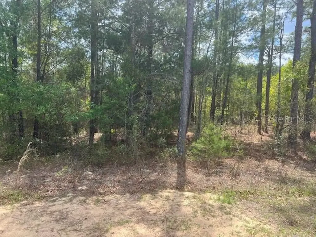 181 Whirlwind Loop Hawthorne FL 32640
