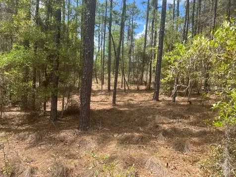 181 Whirlwind Loop Hawthorne FL 32640