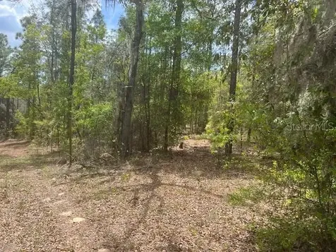 181 Whirlwind Loop Hawthorne FL 32640
