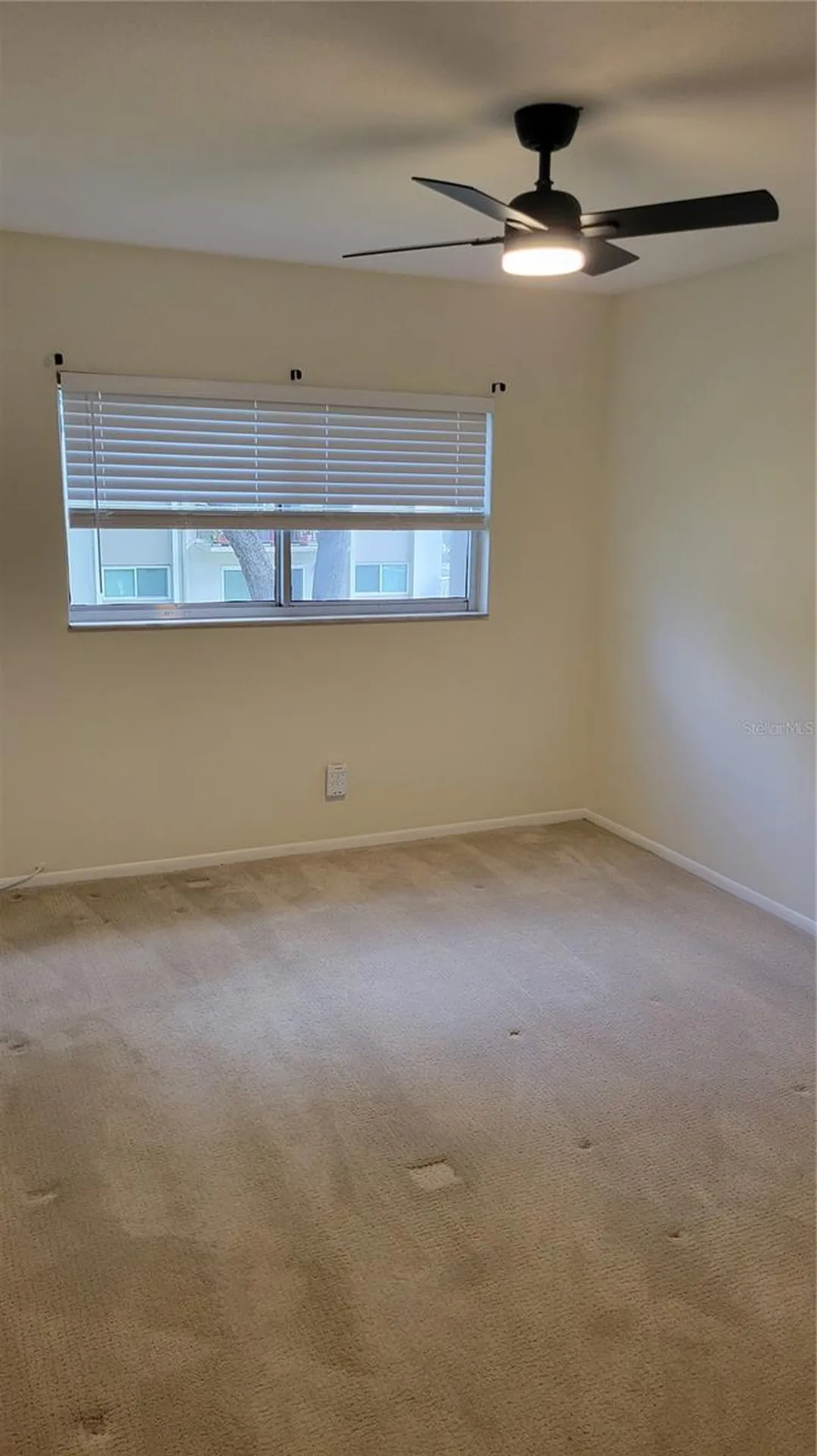 4607 W Fig Street Tampa FL 33609