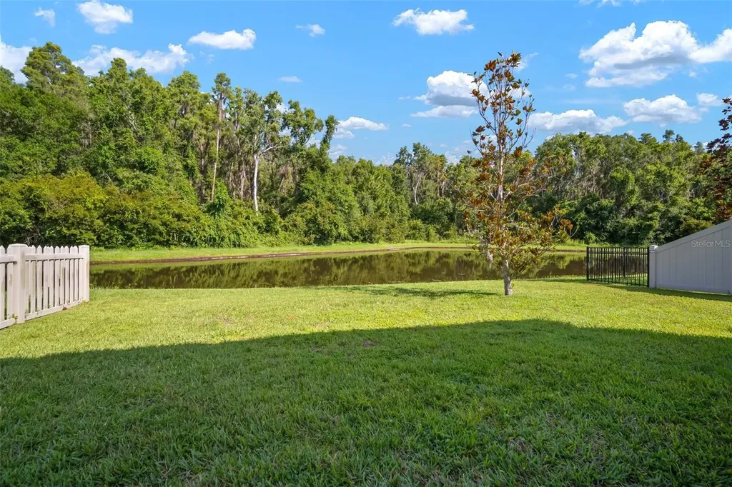 1653 Ludington Avenue Wesley Chapel FL 33543