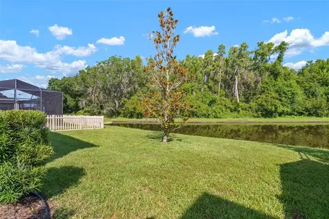 1653 Ludington Avenue Wesley Chapel FL 33543