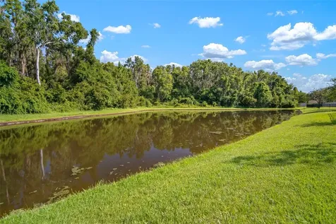 1653 Ludington Avenue Wesley Chapel FL 33543