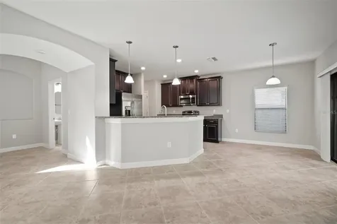 1653 Ludington Avenue Wesley Chapel FL 33543