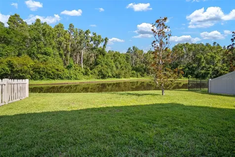 1653 Ludington Avenue Wesley Chapel FL 33543