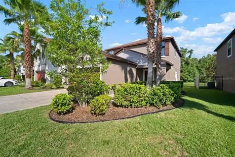 1653 Ludington Avenue Wesley Chapel FL 33543