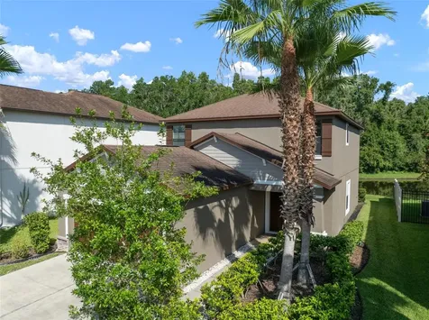 1653 Ludington Avenue Wesley Chapel FL 33543