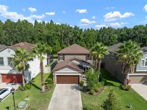 1653 Ludington Avenue Wesley Chapel FL 33543