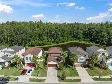 1653 Ludington Avenue Wesley Chapel FL 33543