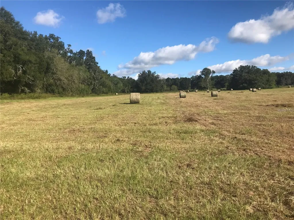 Tbd NW 133rd Reddick FL 32686