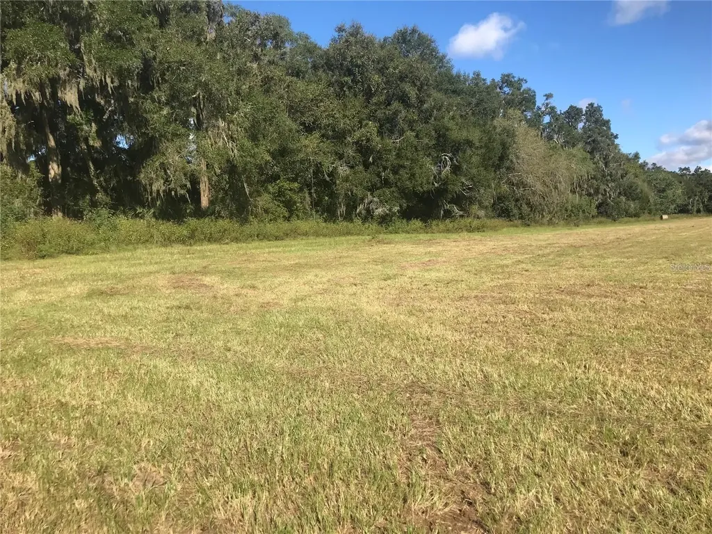 Tbd NW 133rd Reddick FL 32686