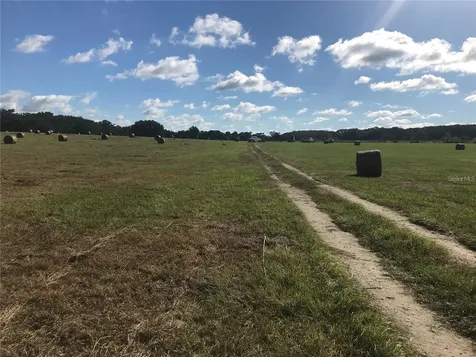Tbd NW 133rd Reddick FL 32686