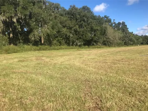 Tbd NW 133rd Reddick FL 32686