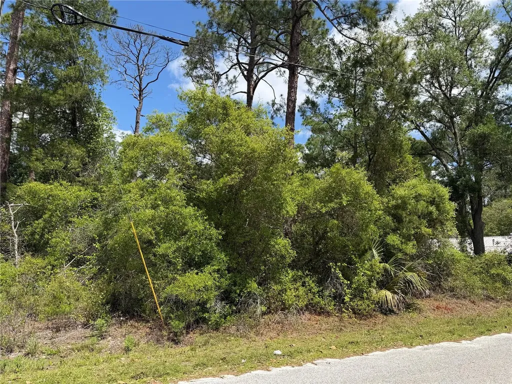 Maryland Street Paisley FL 32767