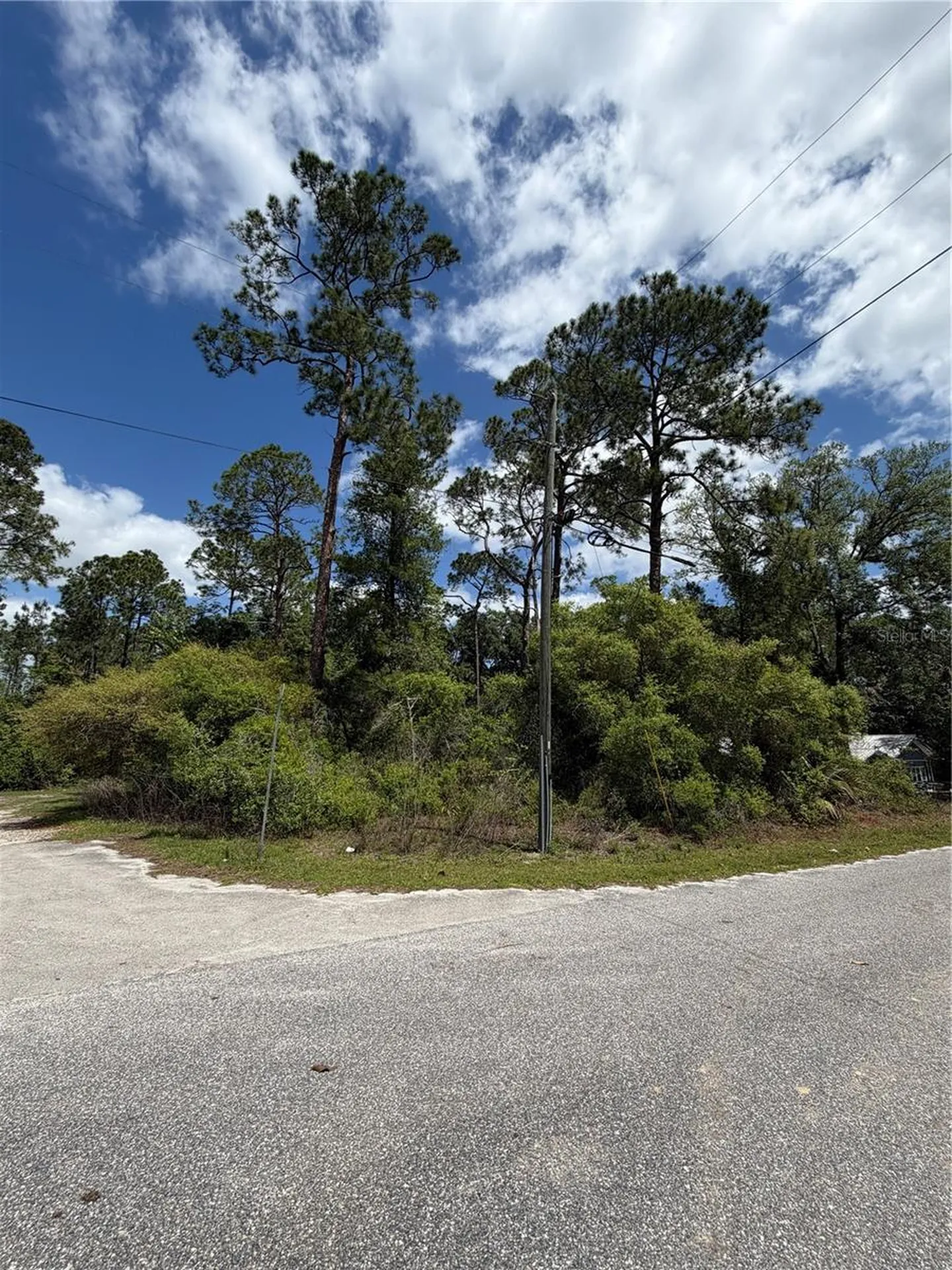 Maryland Street Paisley FL 32767