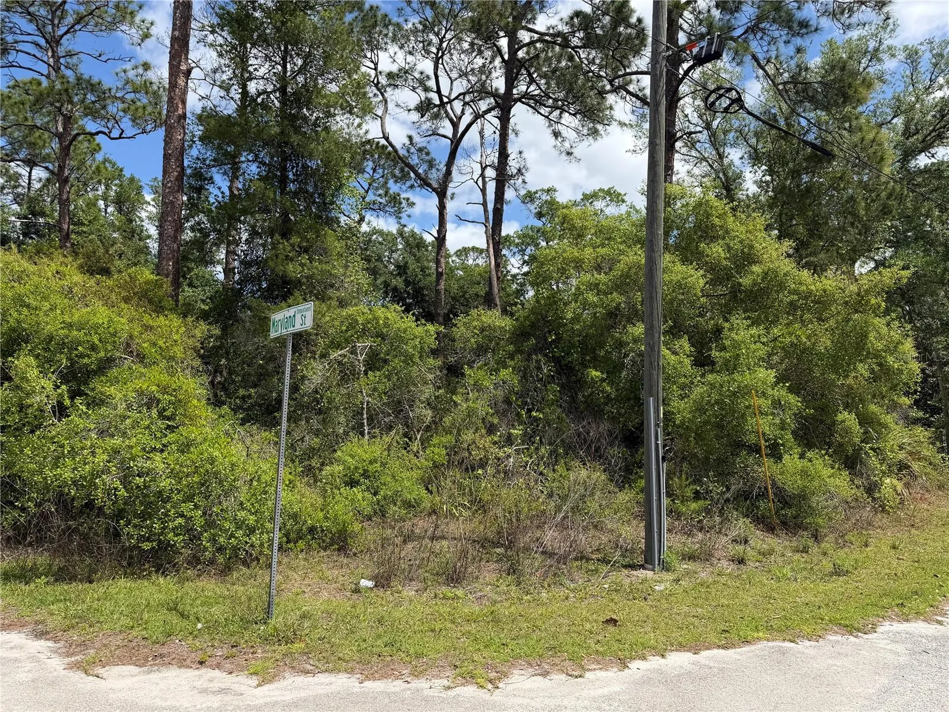 Maryland Street Paisley FL 32767