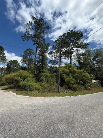 Maryland Street Paisley FL 32767