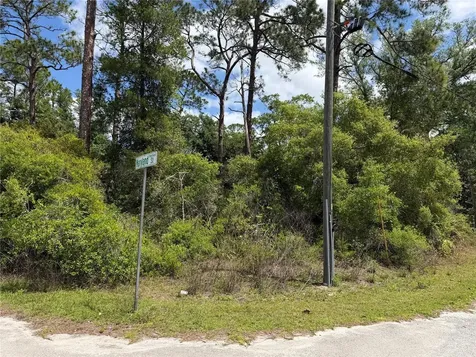 Maryland Street Paisley FL 32767