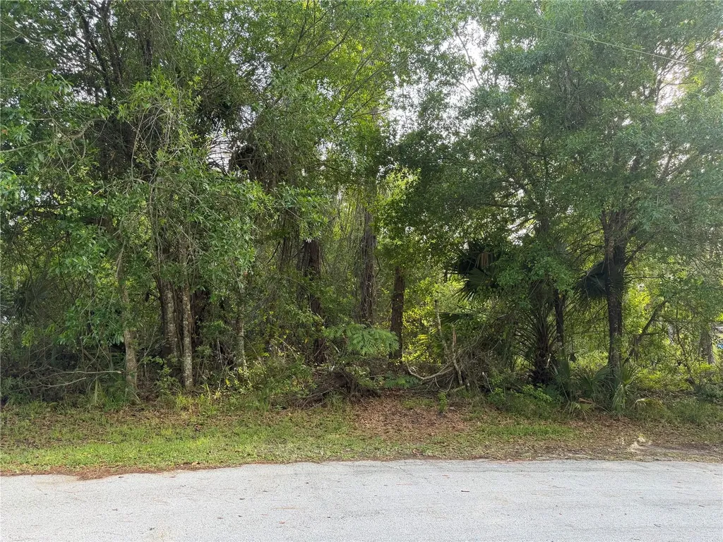 11 Patrick Place Palm Coast FL 32164