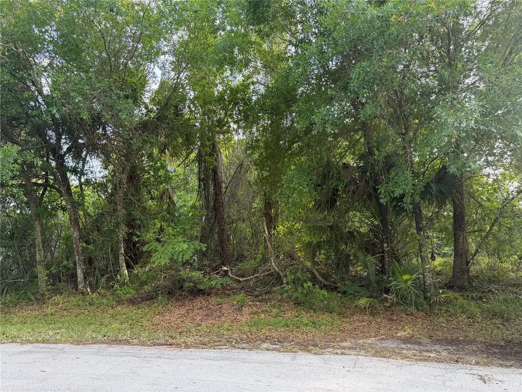 11 Patrick Place Palm Coast FL 32164