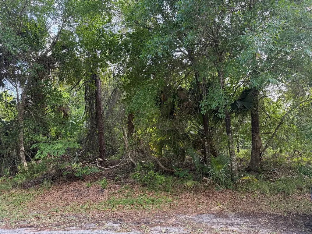 11 Patrick Place Palm Coast FL 32164