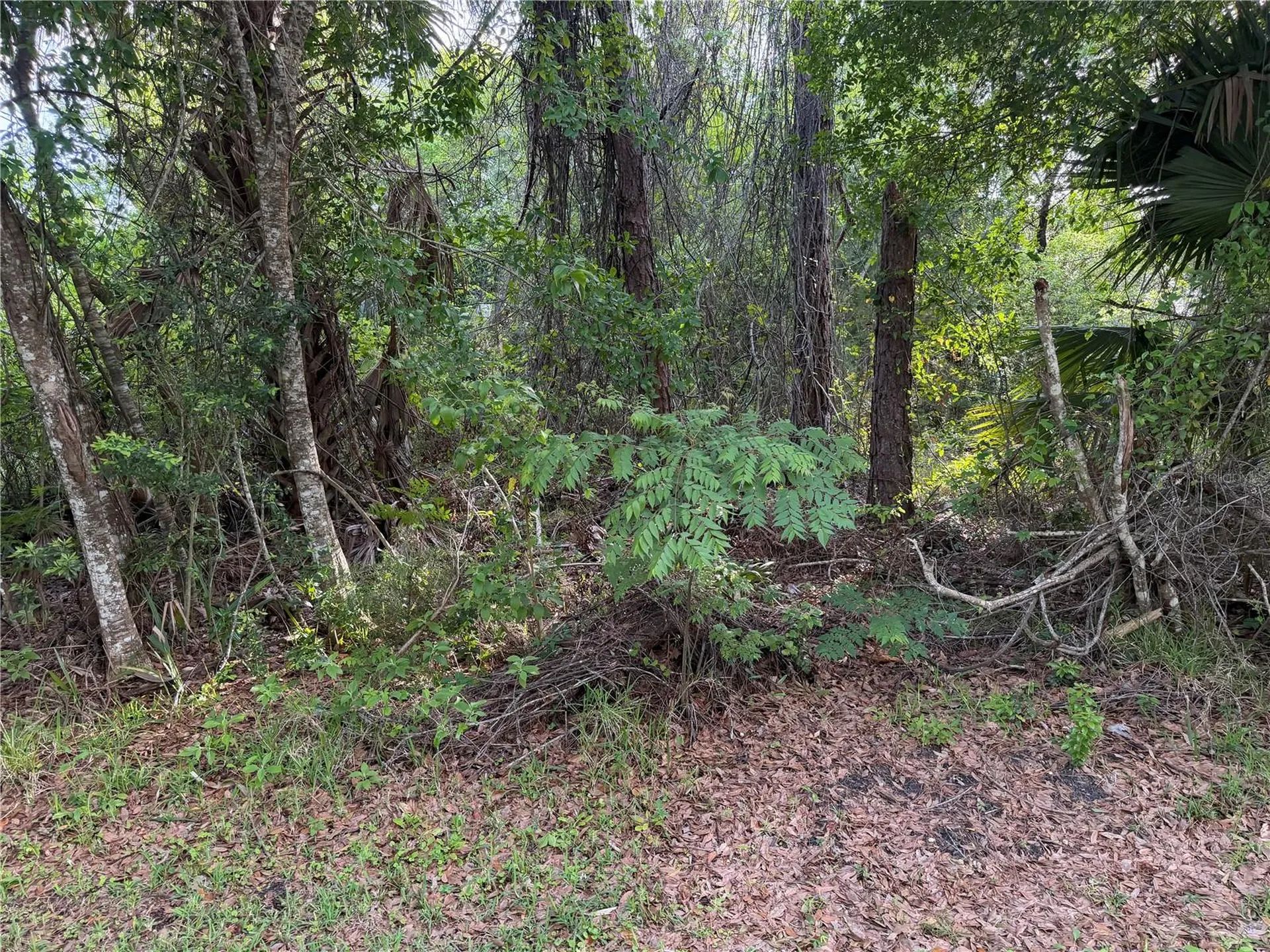 11 Patrick Place Palm Coast FL 32164