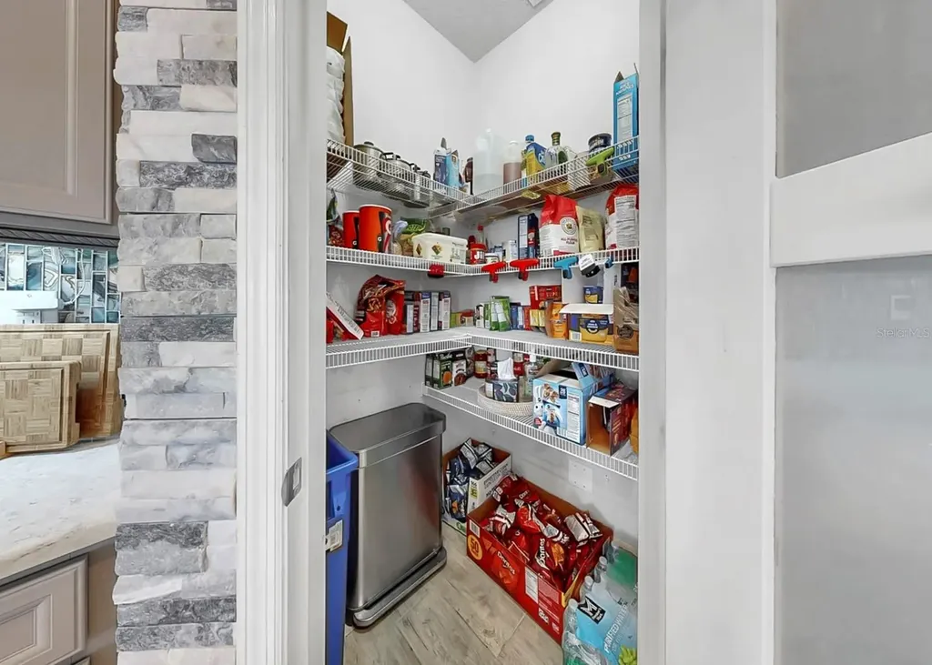 12845 Satin Lily Drive Riverview FL 33579