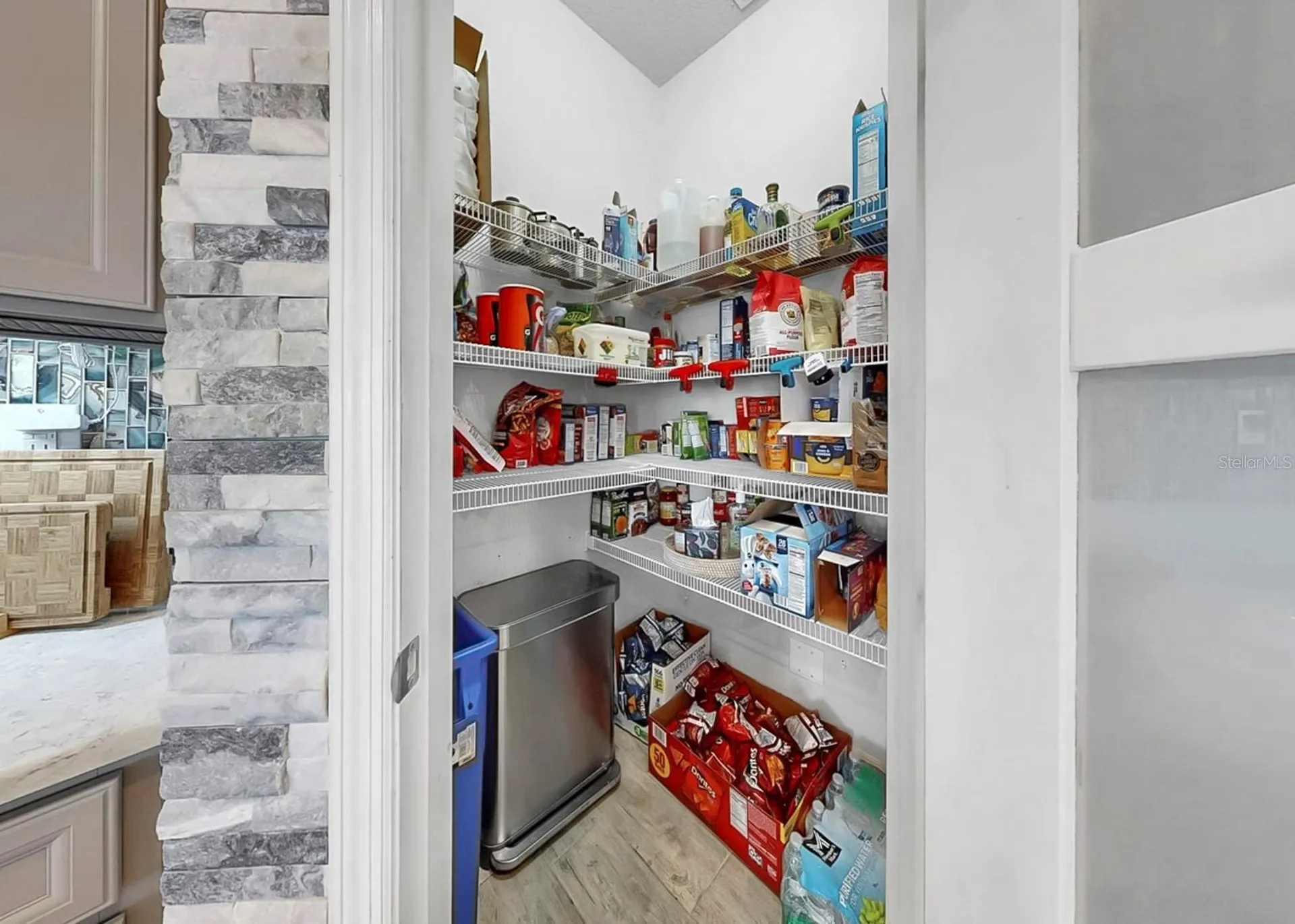 12845 Satin Lily Drive Riverview FL 33579
