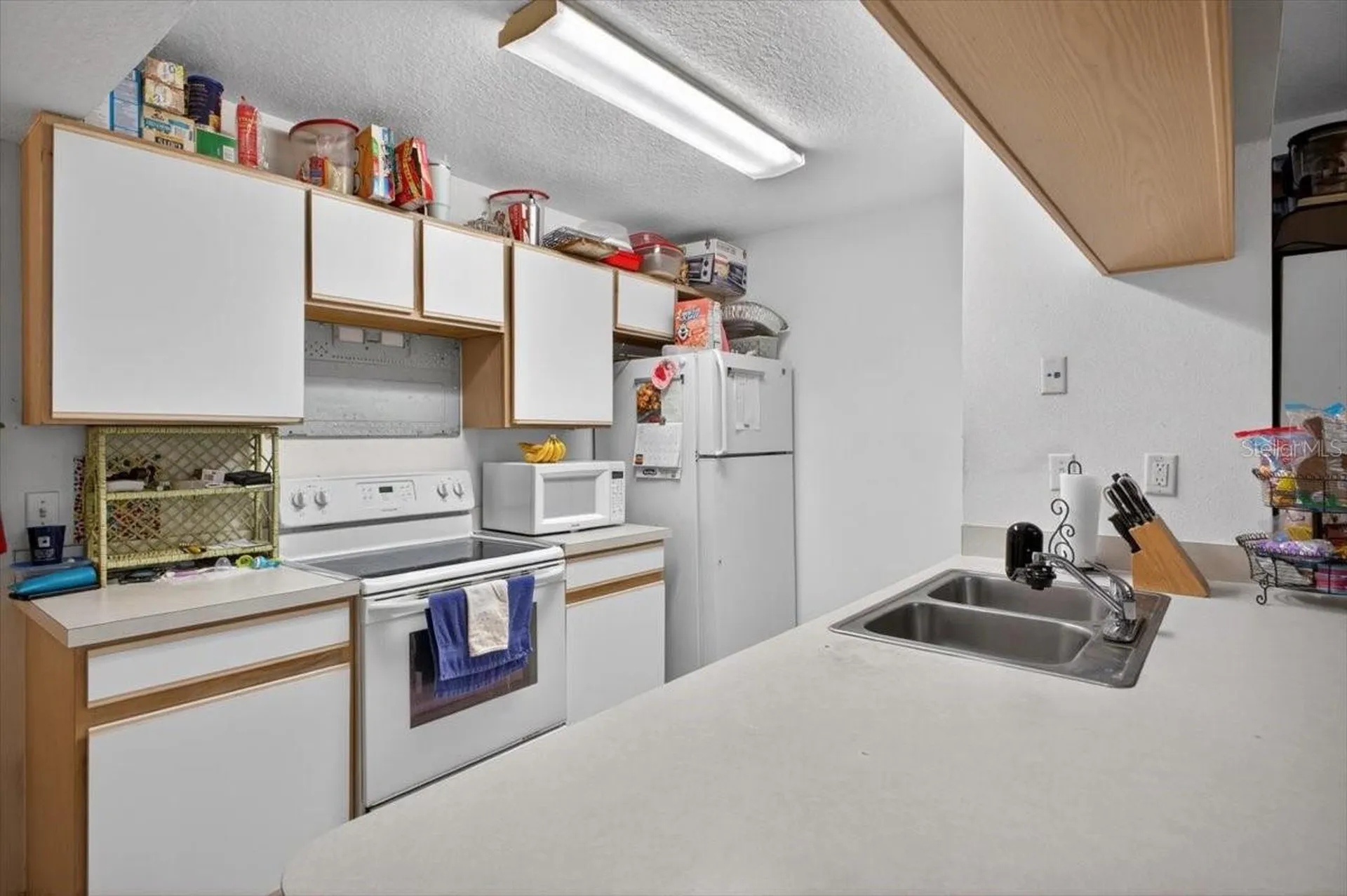 8712 Rain Forest Place Kissimmee FL 34747