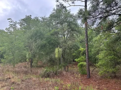 0000 SW 19th Place Ocala FL 34481