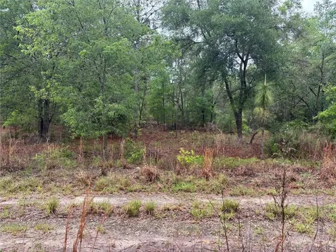 0000 SW 19th Place Ocala FL 34481