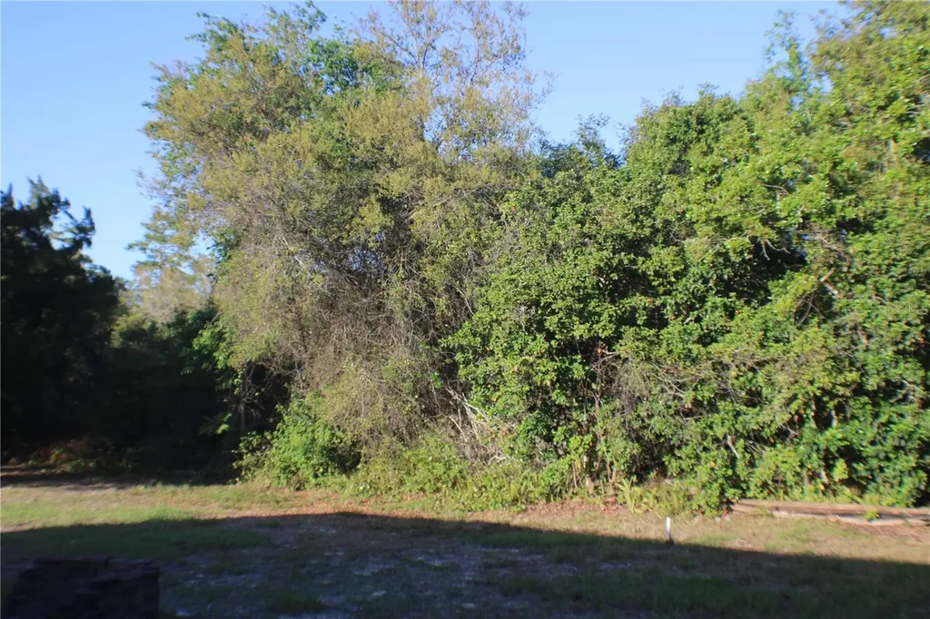 3045 Yorkshire Drive Deltona FL 32738