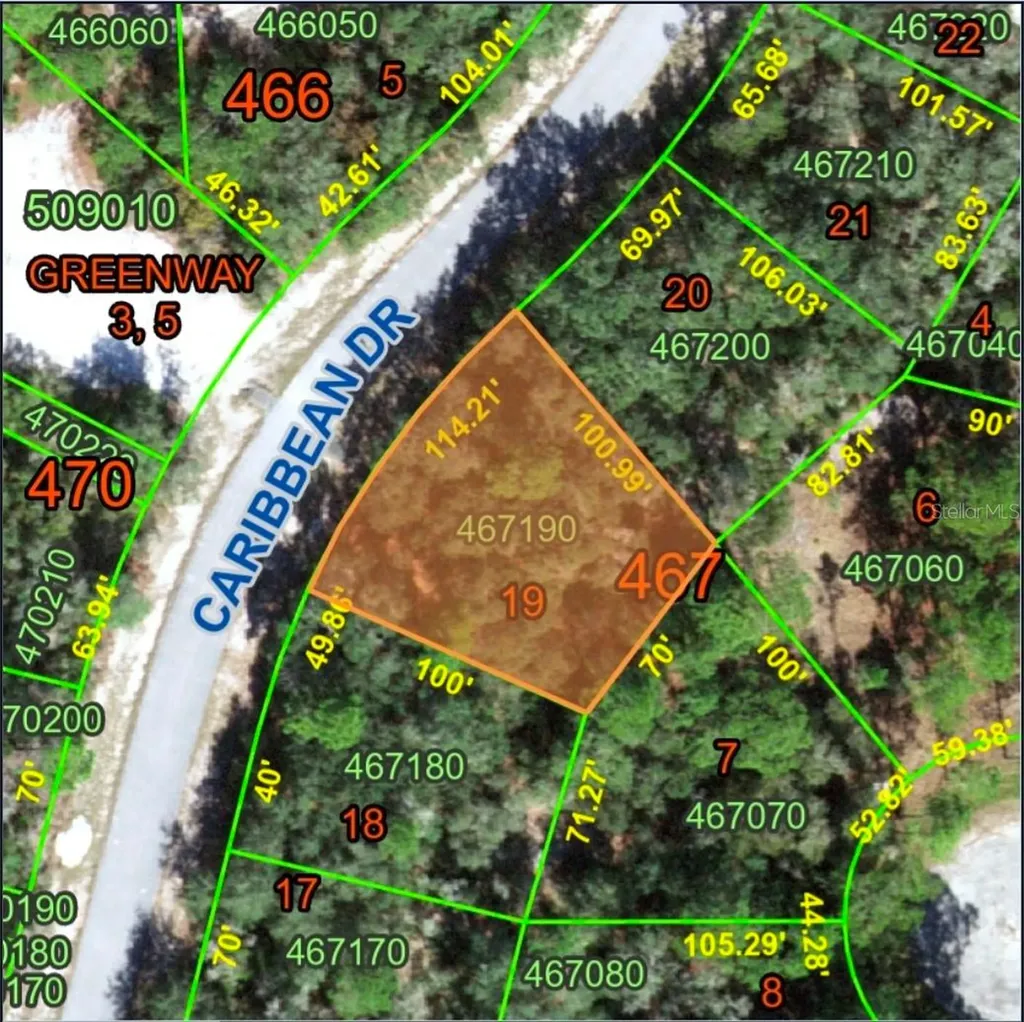 1229 Caribbean Drive Poinciana FL 34759