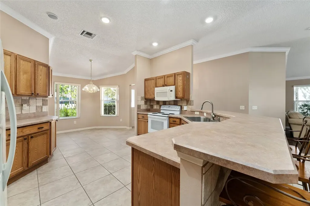 1205 Bower Lane Lady Lake FL 32159