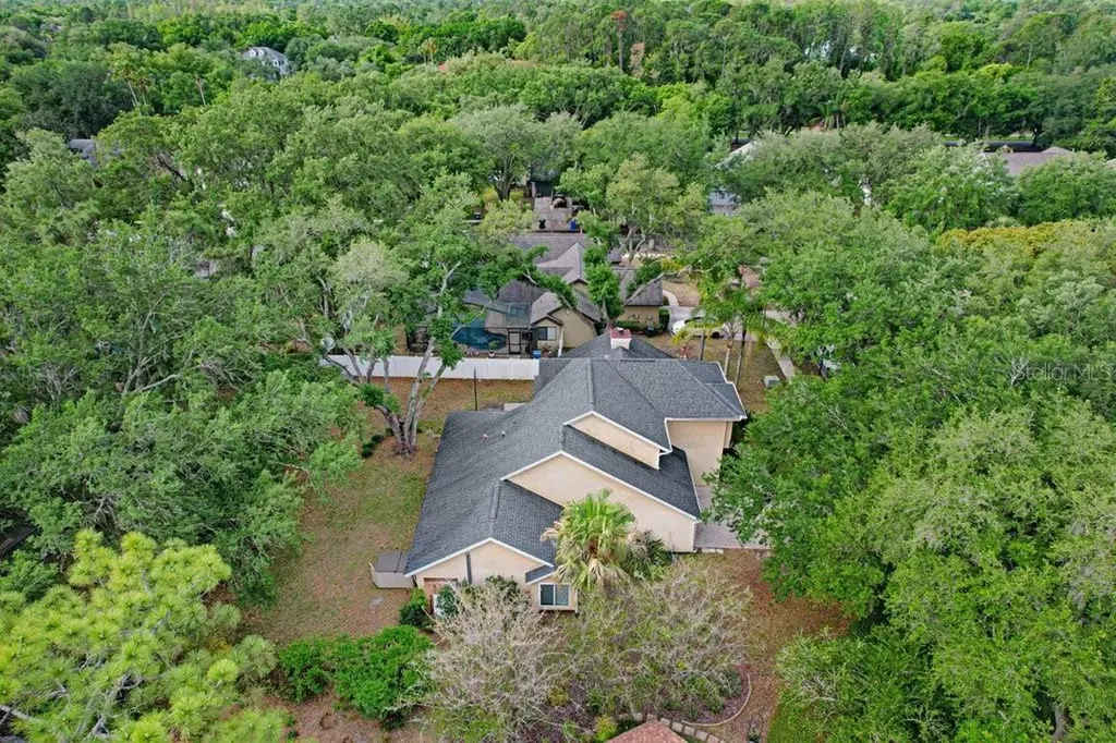 6214 Farthing Street Tampa FL 33647