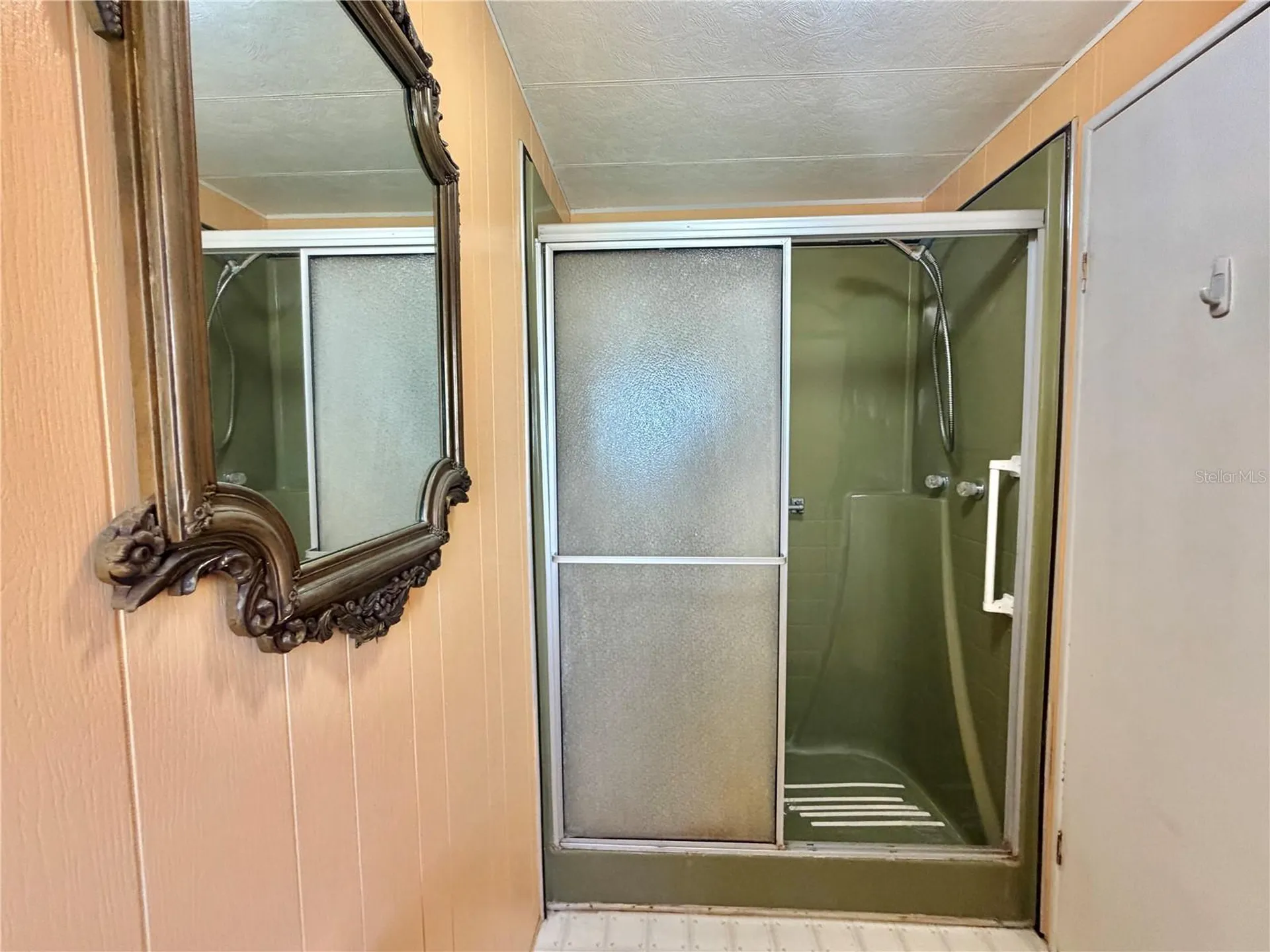 187 Jacaranda Drive Leesburg FL 34748