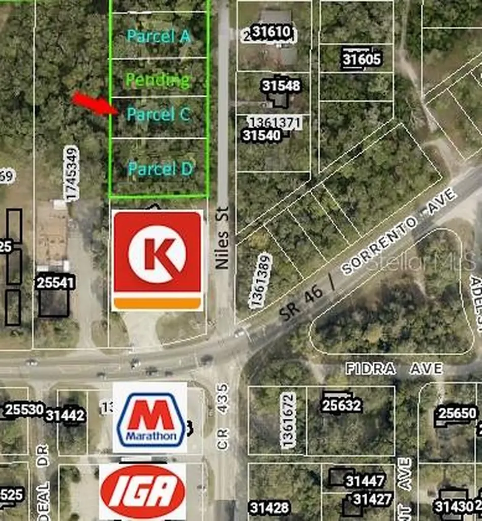 31577 Niles Street Mount Plymouth FL 32776