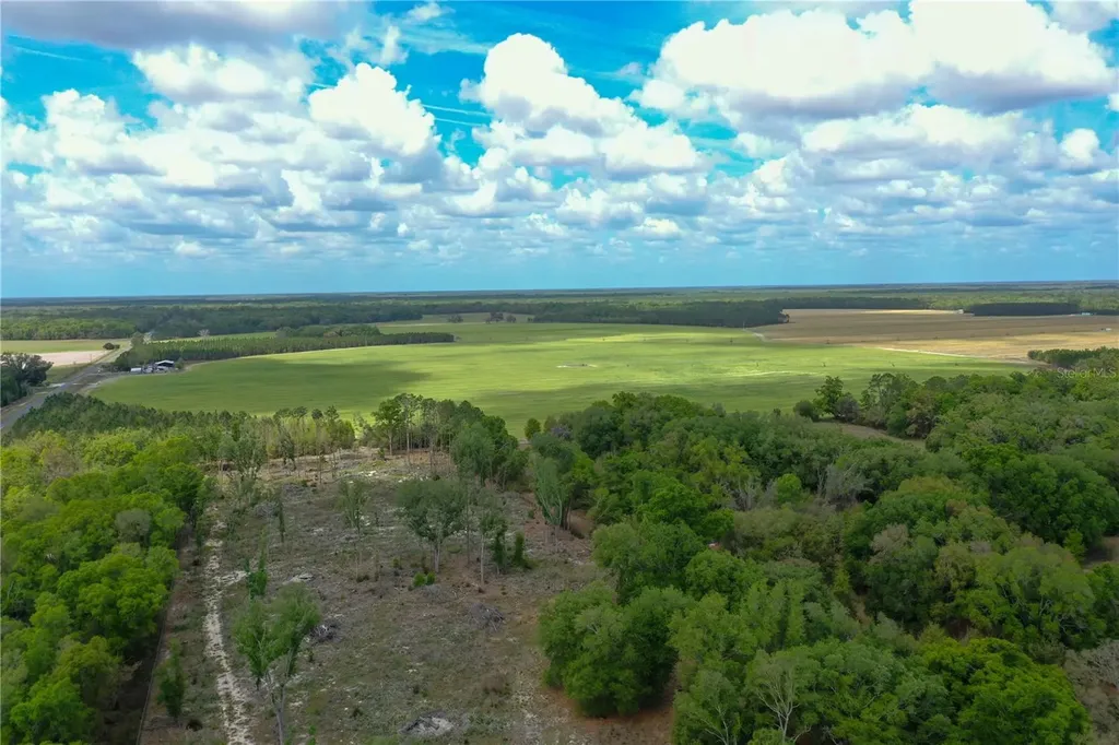 7457 NE Highway 349 Old Town FL 32680