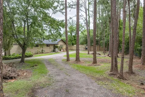 7601 Thunderhead Street Wesley Chapel FL 33544