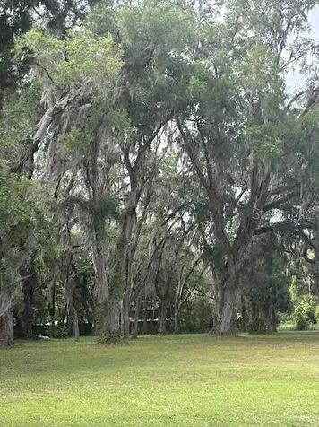 11471 E Highway 316 Fort Mc Coy FL 32134