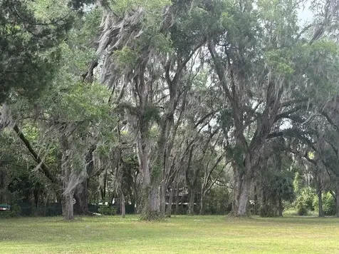 11471 E Highway 316 Fort Mc Coy FL 32134