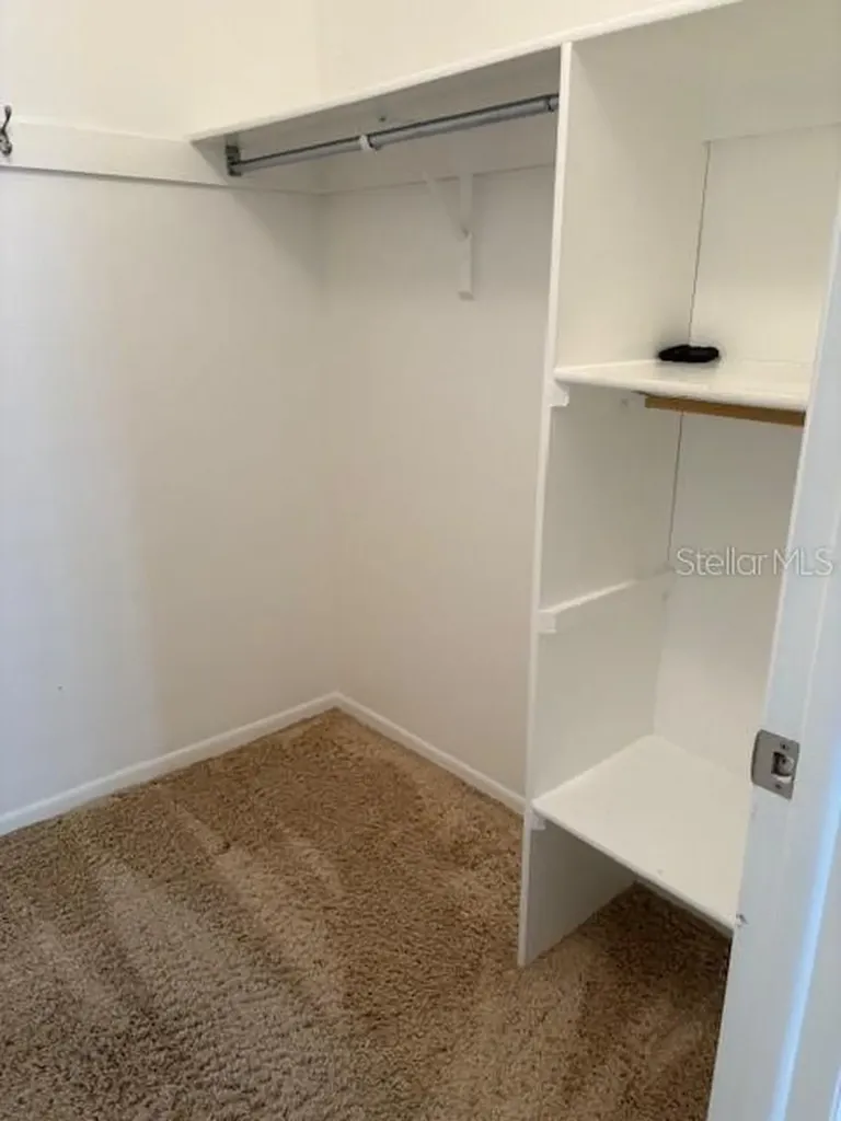 6314 Misty Terrace Temple Terrace FL 33617
