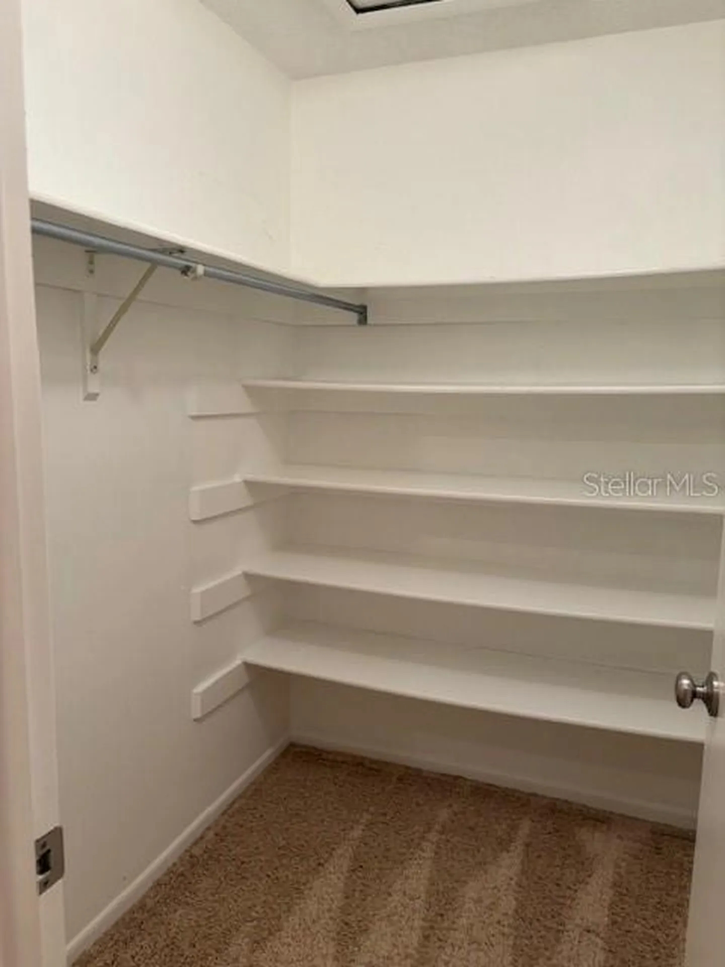 6314 Misty Terrace Temple Terrace FL 33617