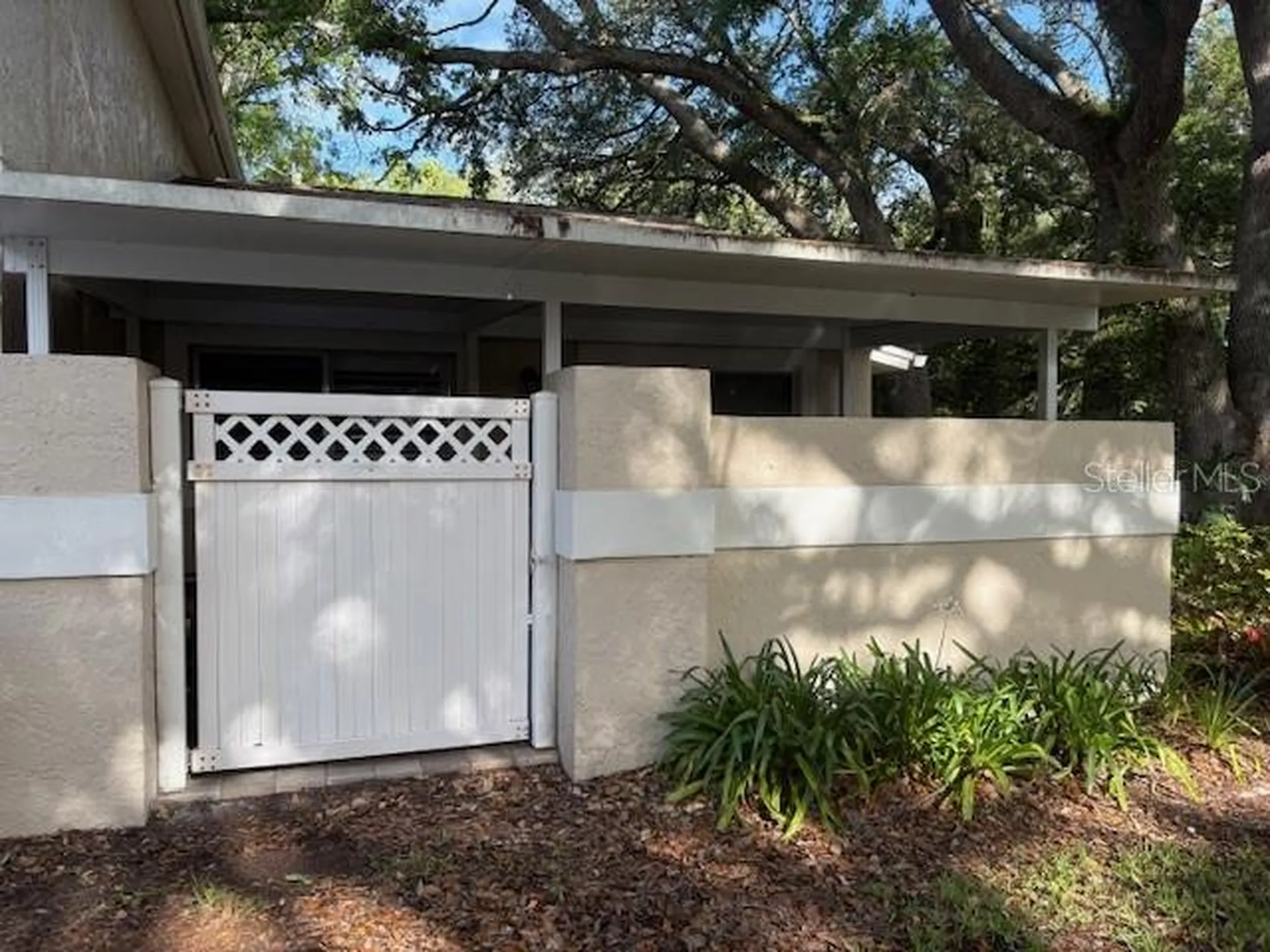 6314 Misty Terrace Temple Terrace FL 33617
