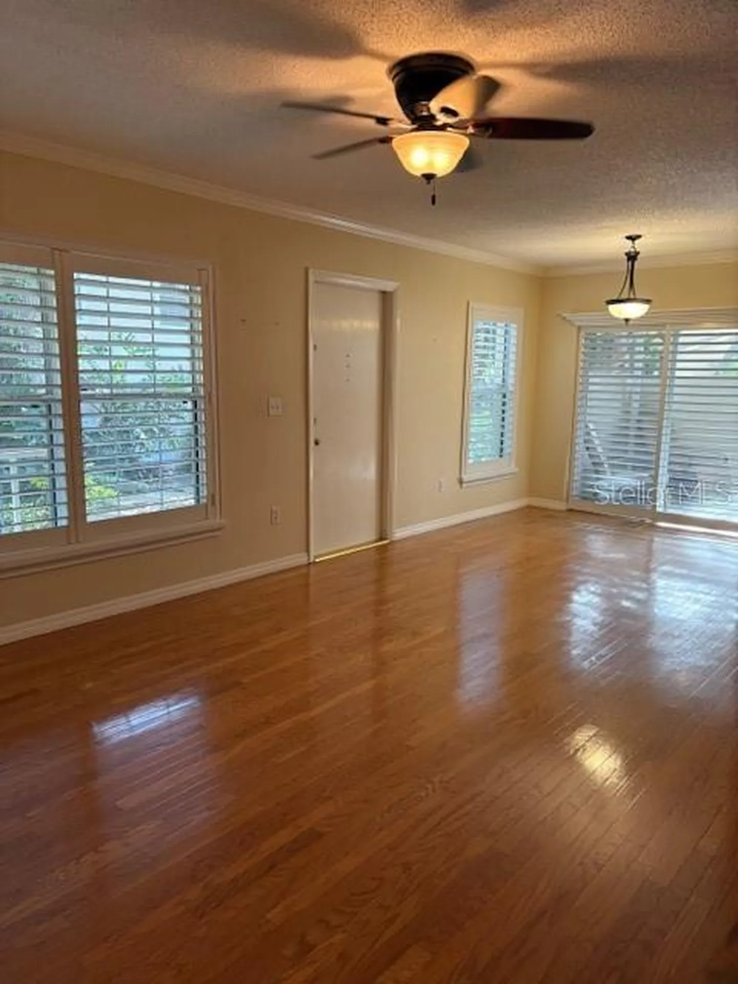 6314 Misty Terrace Temple Terrace FL 33617
