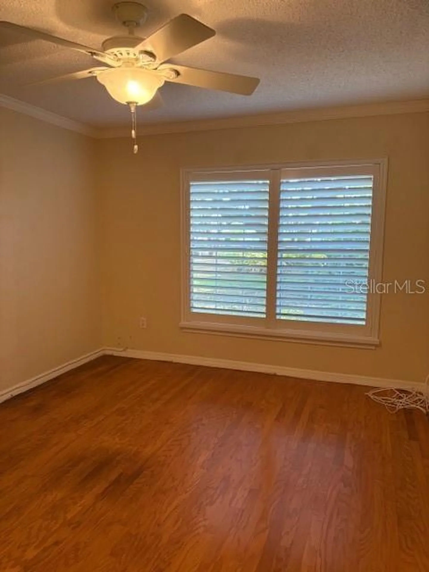6314 Misty Terrace Temple Terrace FL 33617