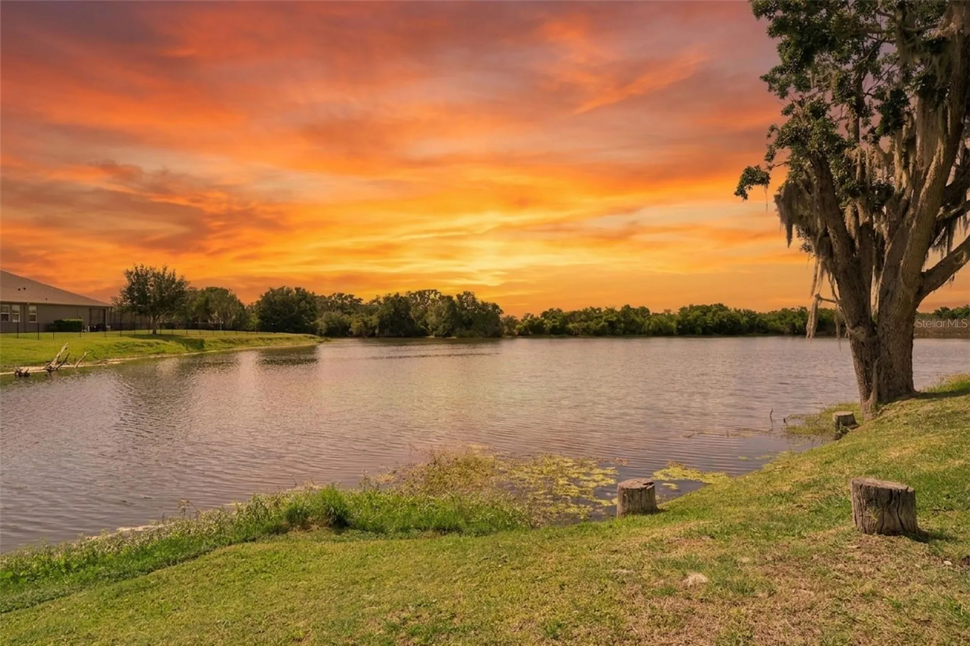 15196 Lake Claire Overlook Drive Winter Garden FL 34787
